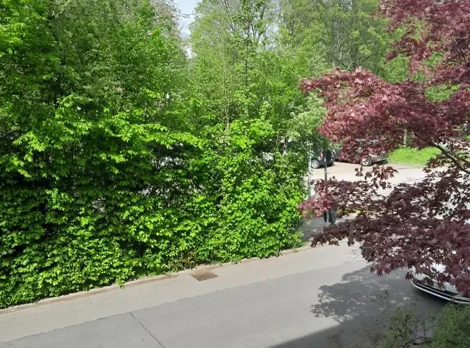 Zuhause Im Gruenen 홈스테이 *