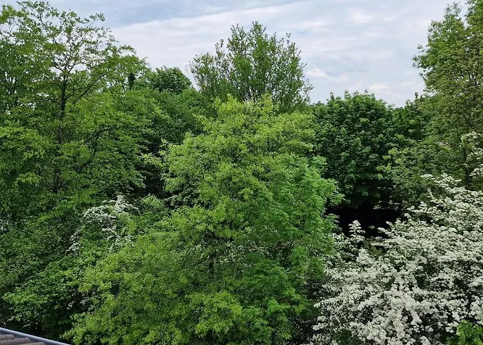 Zuhause Im Gruenen *